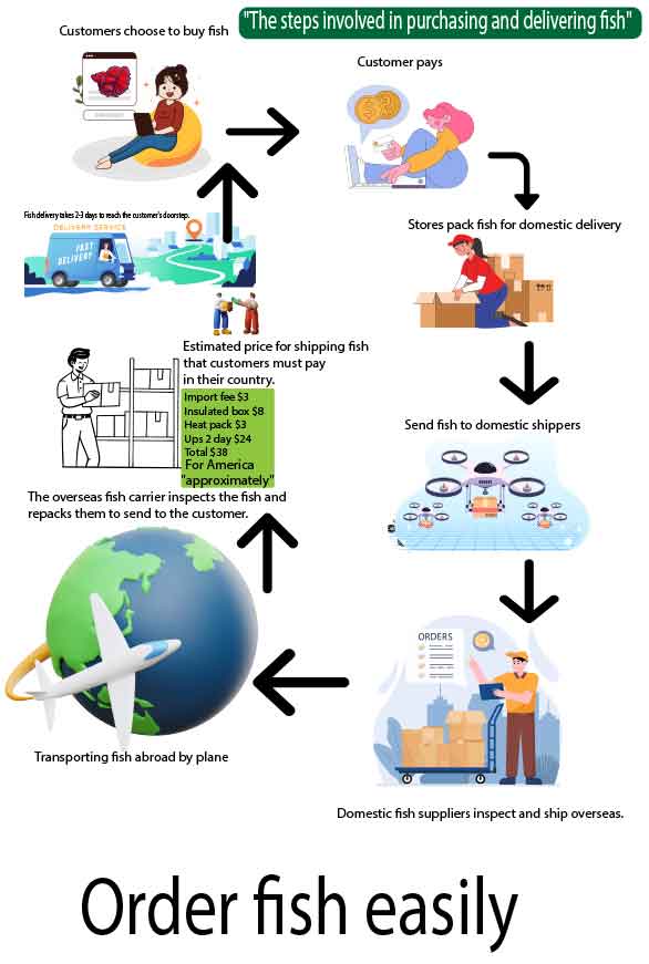 Steps involved in purchasing and delivering fish